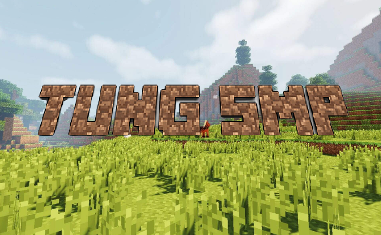 Tung SMP